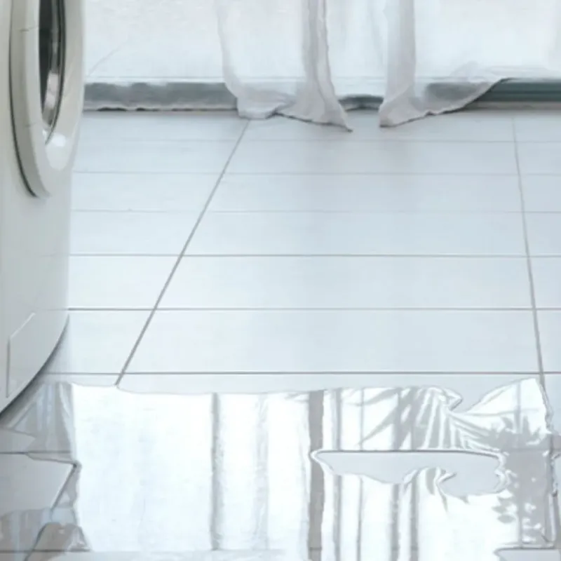 Appliance Leak Cleanup in Fannett, TX