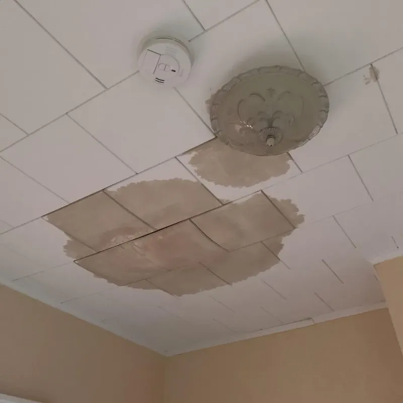 Ceiling Water Damage Repair in Fannett, TX