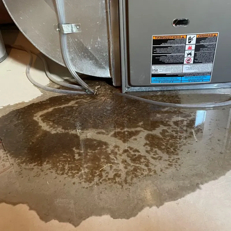 Pipe Burst and Leak Restoration in Fannett, TX