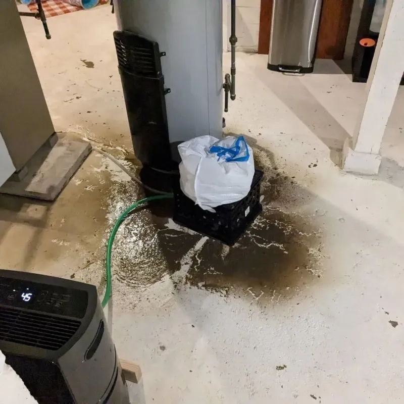 Sewage Backup Cleanup Service in Fannett, TX